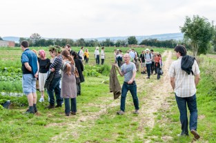 Les Amapiens dans les champs