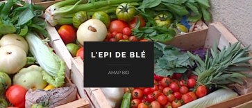 AMAP_L_Epi_de_ble