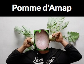 AMAP_Pomme_d_AMAP