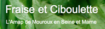 AMAP_FraiseetCiboulette
