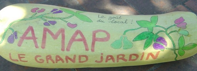 AMAP_duGrandJardin-31