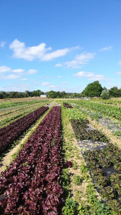 PART_1529346314725(1)