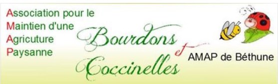 AMAP_Bourdons_et_coccinelles