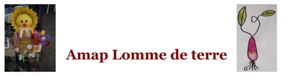 AMAP_Lomme_de_terre_59