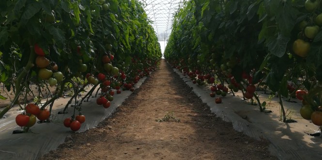 MmsCamera_2018-07-10-10-10-021