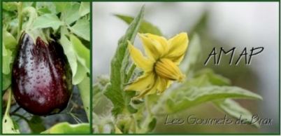 AMAP_LesGourmetsdeBrax