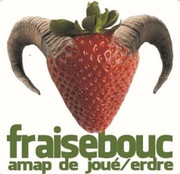 AMAP-Fraisebouc