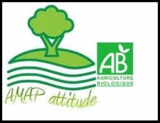 AMAP_Attitude