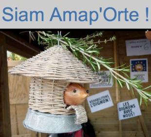 Siam_AMAPorte