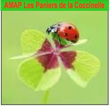 AMAP-LesPaniersdelaCoccinelle