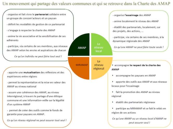 Articulations_Mouvement_AMAP