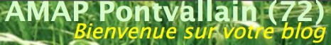 AMAP_Pontvallain