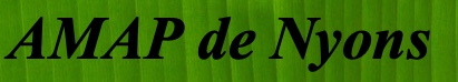 AMAP_de_Nyons