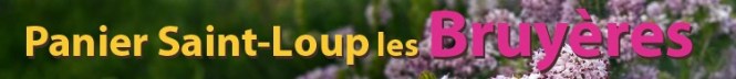 PAMA_Saint-Loup_Les_Bruyeres