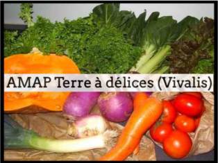 AMAP_Terre_a_delices_Vivalis
