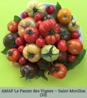 AMAP_LePanierdesVignes_Saint-Morillon-33