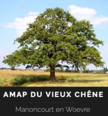 AMAP_du_Vieux_Chene