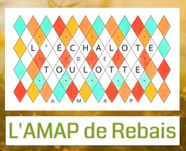 AMAP_de_Rebais_L-Echalotte-de-Toulotte
