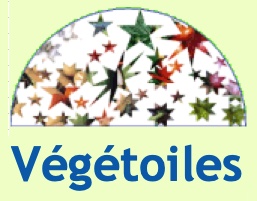 AMAP_Vegetoiles