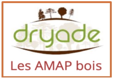 Dryade_AMAP_bois